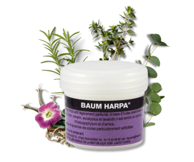 Baum harpa 80 gr