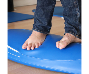ToyBoard Pro