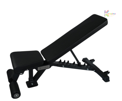 Banc Training pro Sveltus