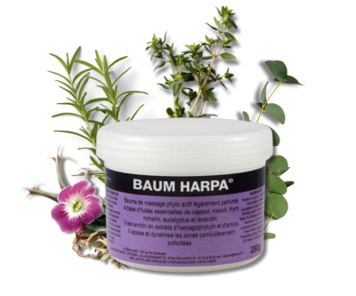 Baum harpa