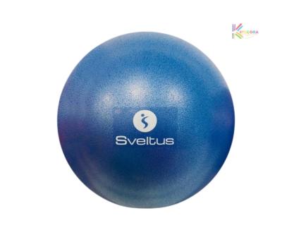 Ballon pédagogique Sveltus bleu diam 22/24cm 