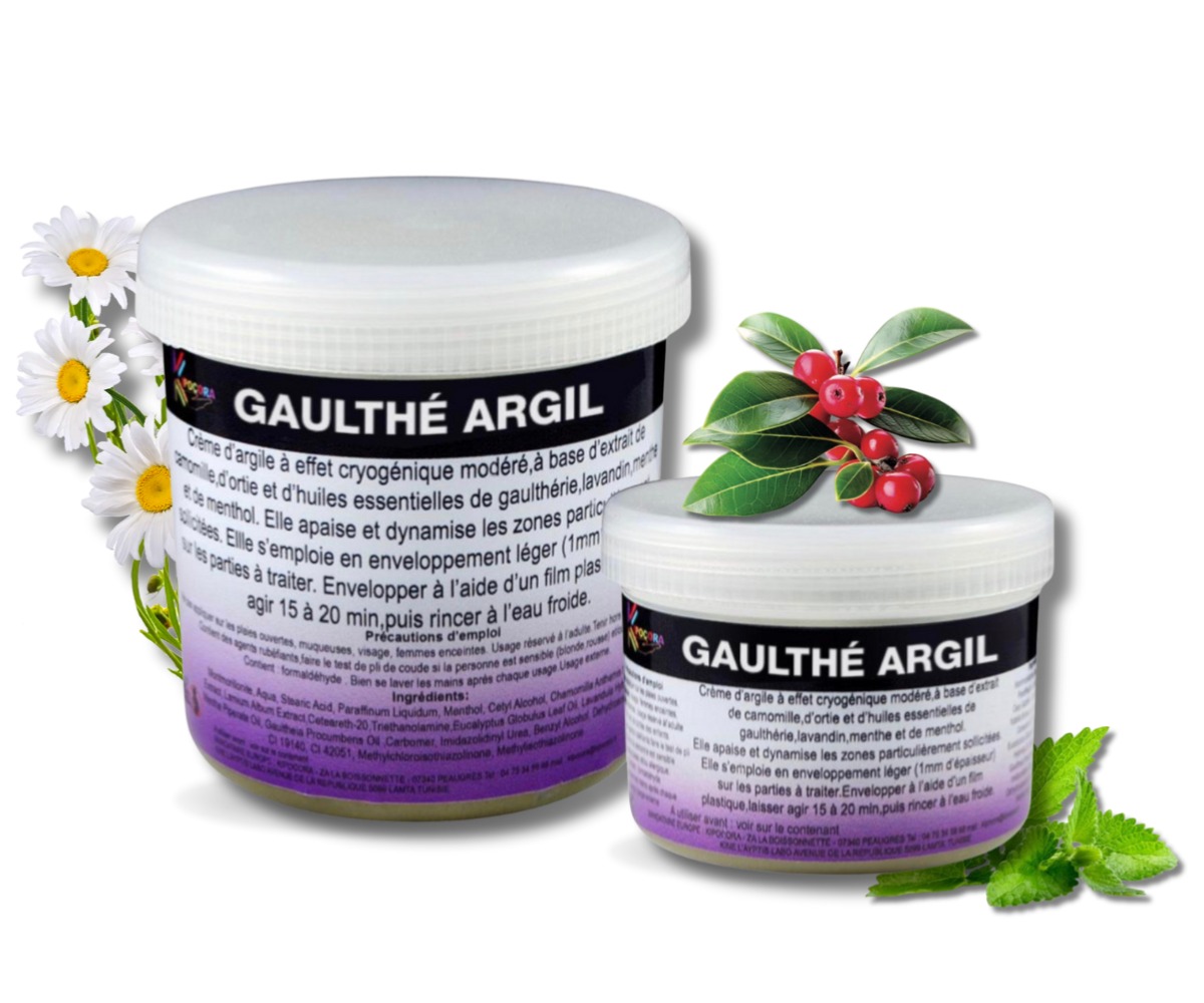 Gaulthé argile 320 gr PROMO