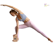 Yoga brick Liège Sveltus 