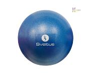 Ballon pédagogique Sveltus bleu diam 22/24cm 