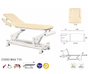 Table électrique Ecopostural C5583